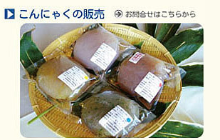 こんにゃくの画像